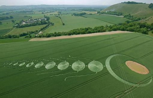 Wiltshire Crop Circles