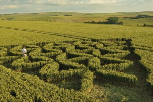 Photos: David Williams, Keith Chaloner/Visit Wiltshire, Britainonview, Getty  