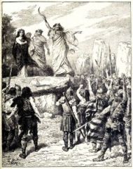 druids_inciting_the_britons_to_oppose_the_landing_of_the_romans