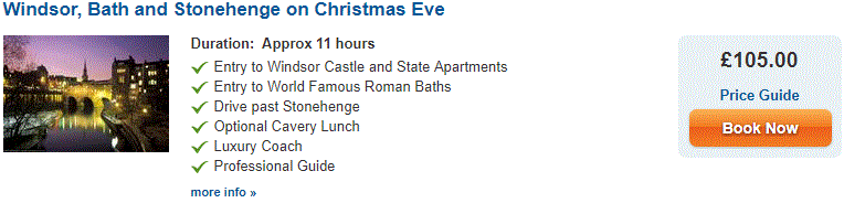 Stonehenge Christmas Tours