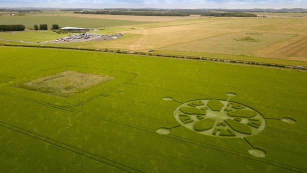Crop Circle