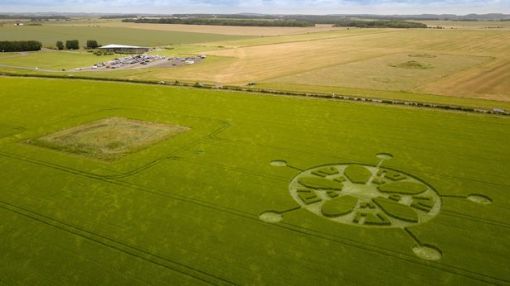 Crop Circle