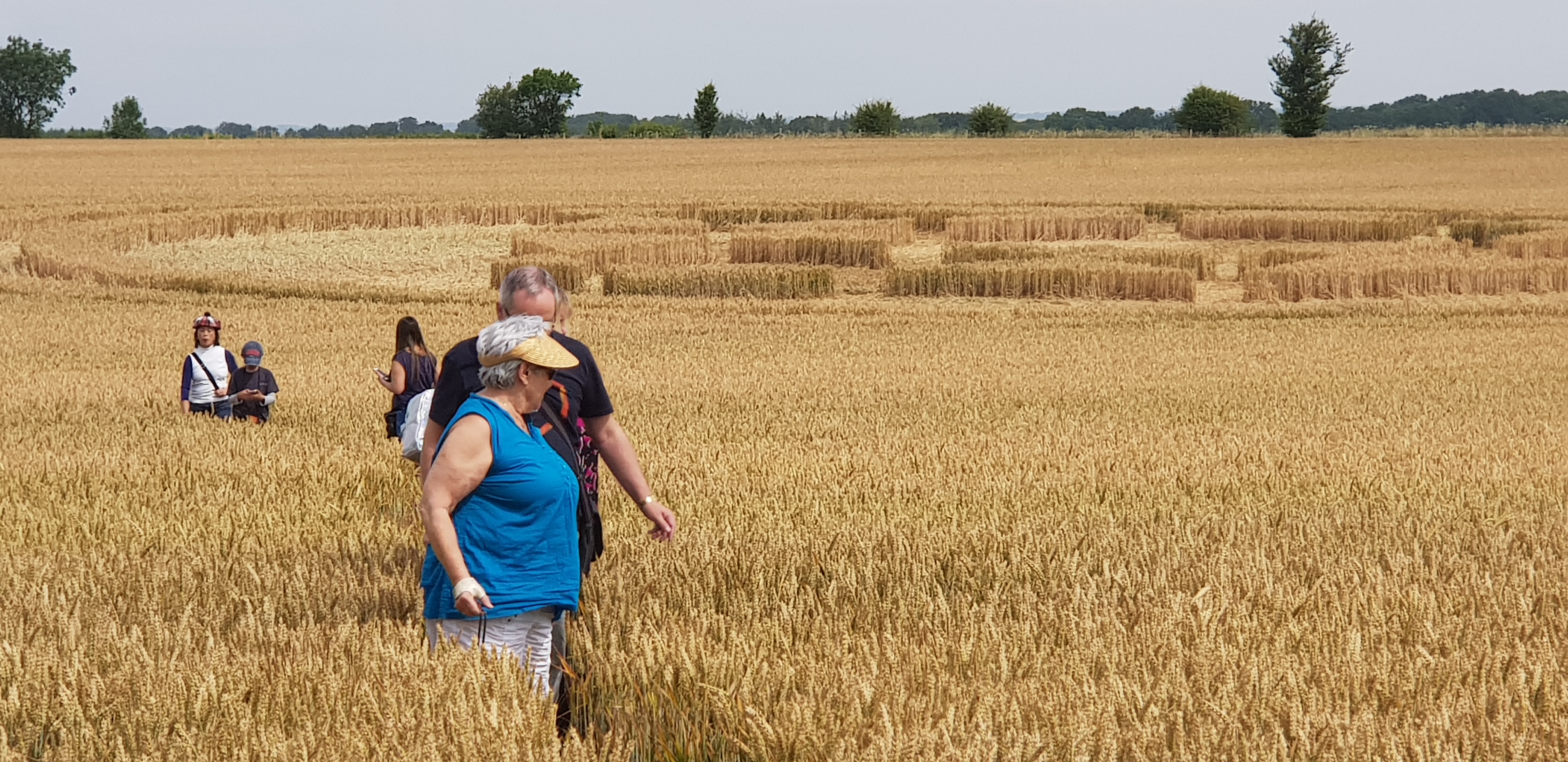 In Photos: Mysterious Crop Circles | Live Science, image size:4032x1960