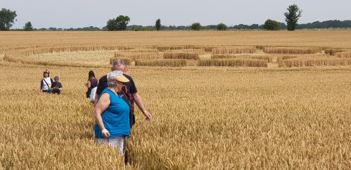 Crop Circle Tours